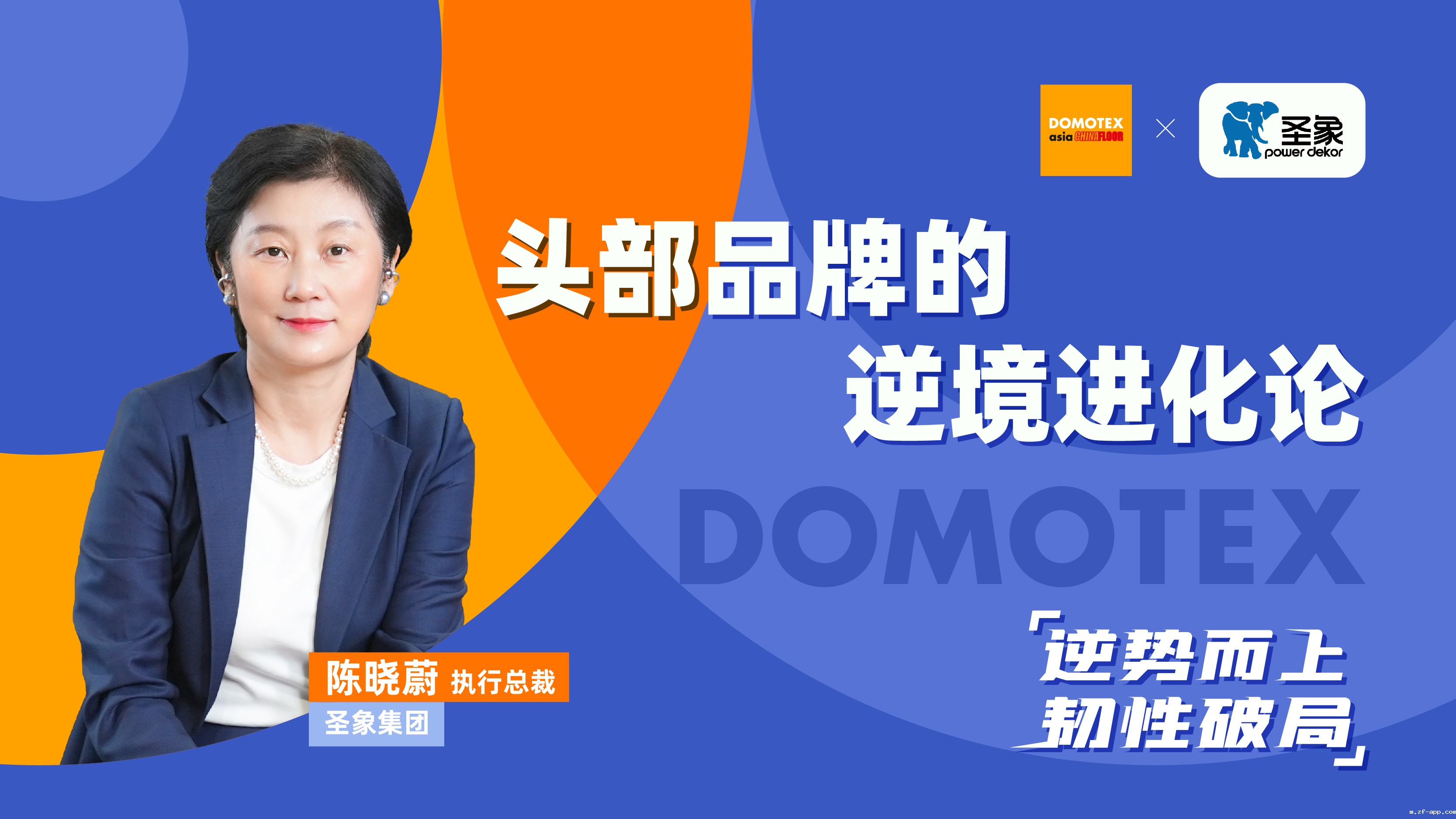 逆势而上，韧性破局 | 拒绝行业“内卷”—圣象集团的逆境进化论